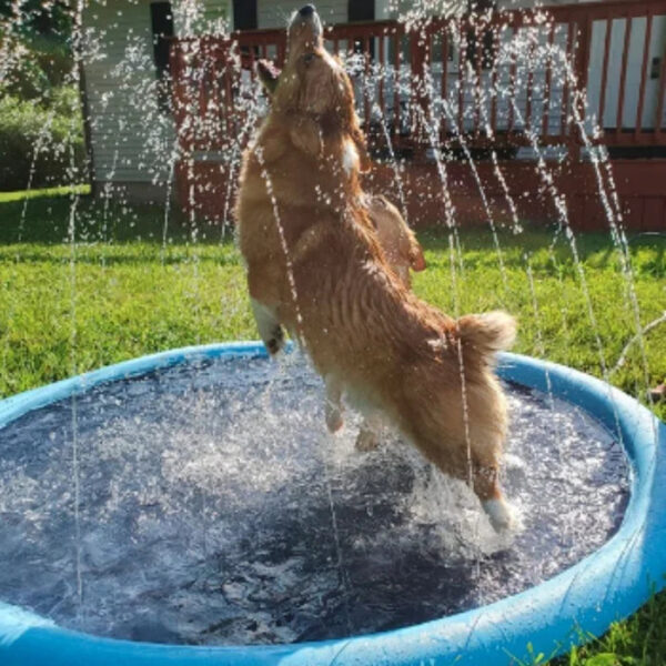 Non-Slip Splash Pad for Kids and Dog - Image 3