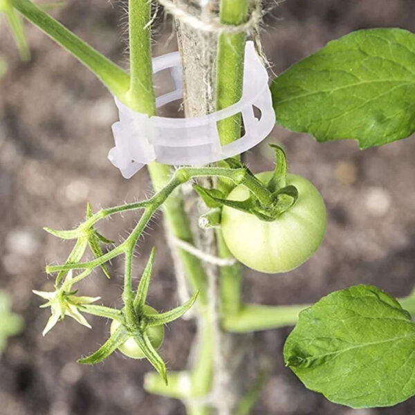 Plant Support Clips - Image 10