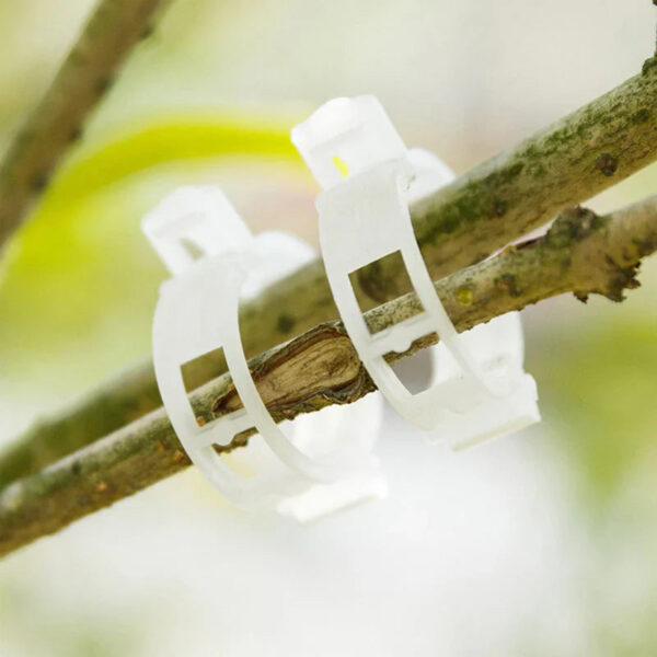 Plant Support Clips - Image 5