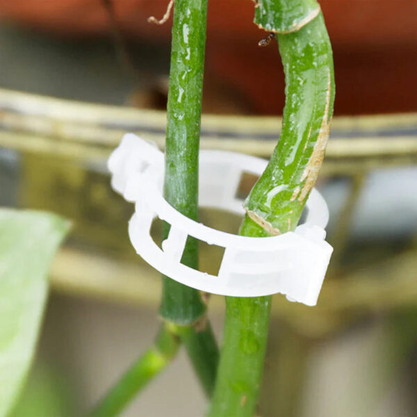 Plant Support Clips - Image 11