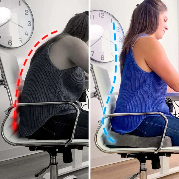 Sutera Orthopedic Seat Cushion - Image 2