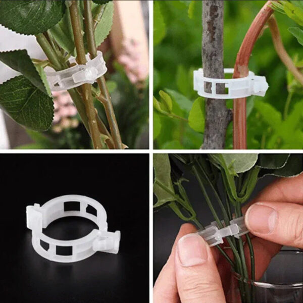 Plant Support Clips - Image 2