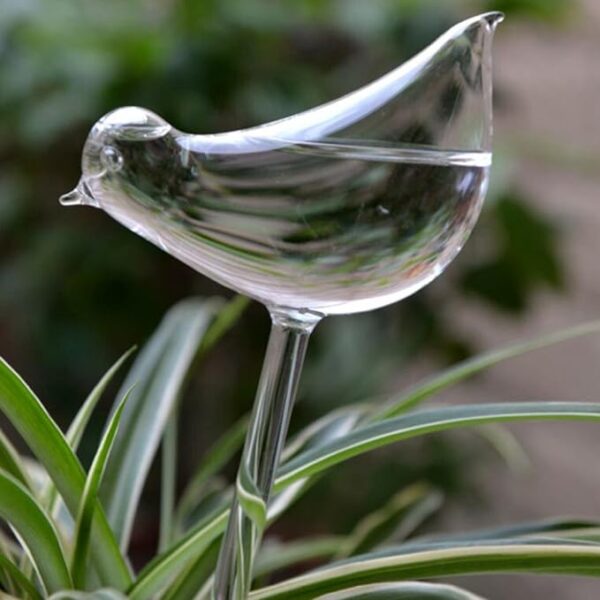 Self-Watering Plant Glass Bulbs (Set of 2) - Image 10