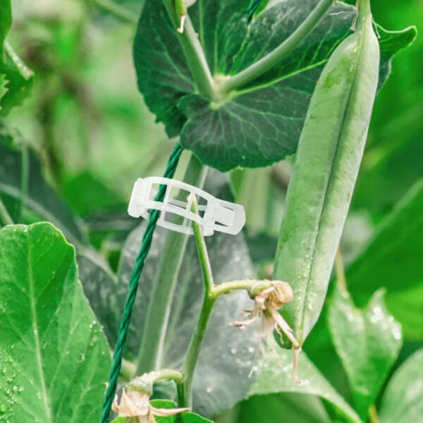 Plant Support Clips - Image 4