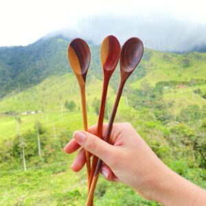 Artisan Wood Spoon