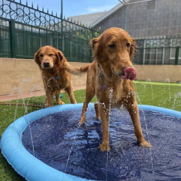 Non-Slip Splash Pad for Kids and Dog - Image 13