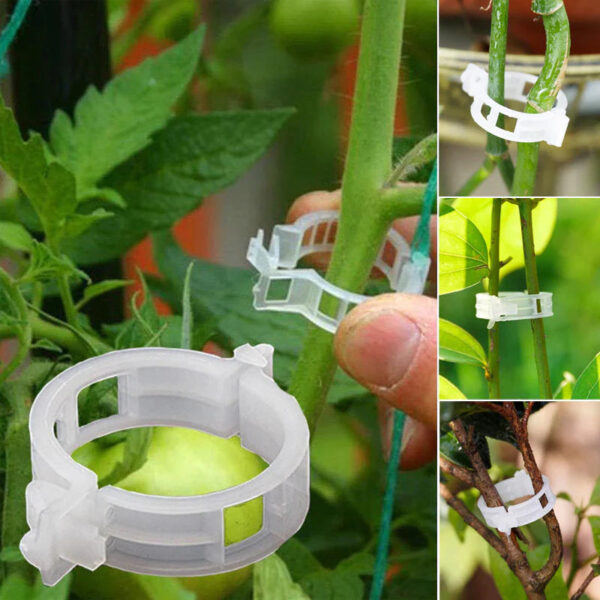 Plant Support Clips - Image 3