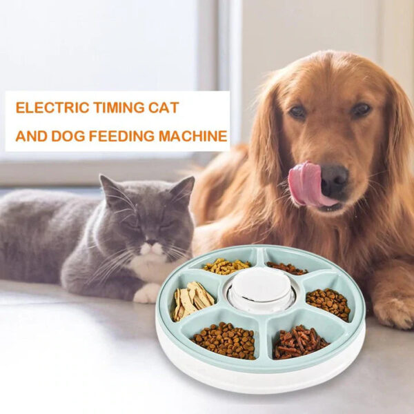 Automatic Pet Feeder