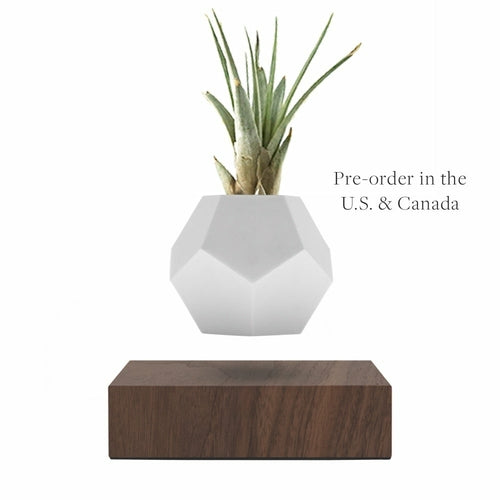 Lyfe Planter - Image 13