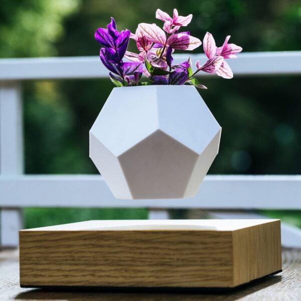 Lyfe Planter - Image 8