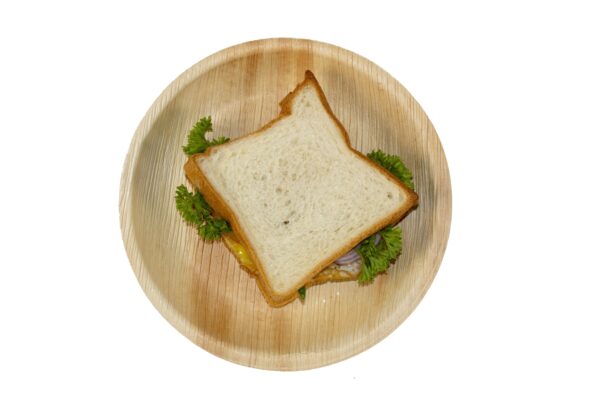 Palm Leaf Plates Round 7" Inch (Set of 25/50/100) - Image 5
