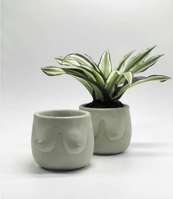 Hera Concrete Planter - Image 6