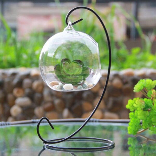 Teardrop Glass Terrarium - Image 3