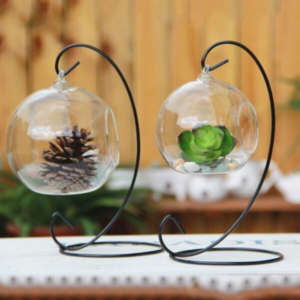 Teardrop Glass Terrarium - Image 2