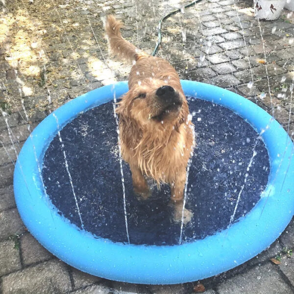 Non-Slip Splash Pad for Kids and Dog - Image 15