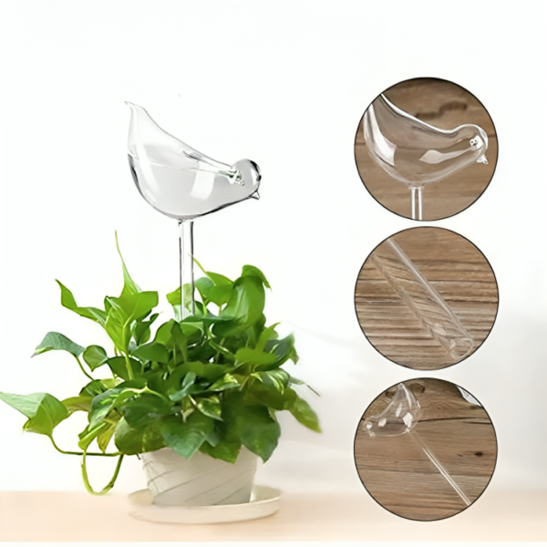 Self-Watering Plant Glass Bulbs (Set of 2) - Image 9