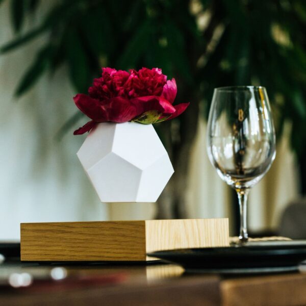 Lyfe Planter - Image 6