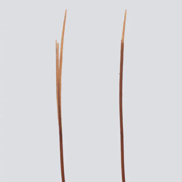 Strengthening Split End Hair Repair Serum Treatment - Image 4