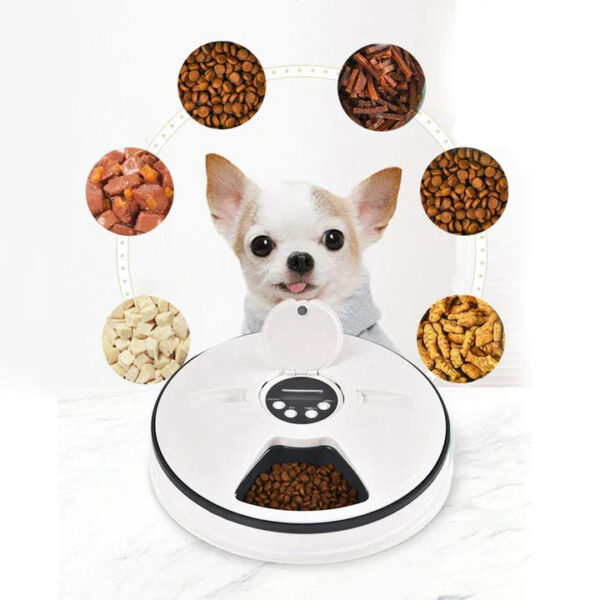 Automatic Pet Feeder - Image 4