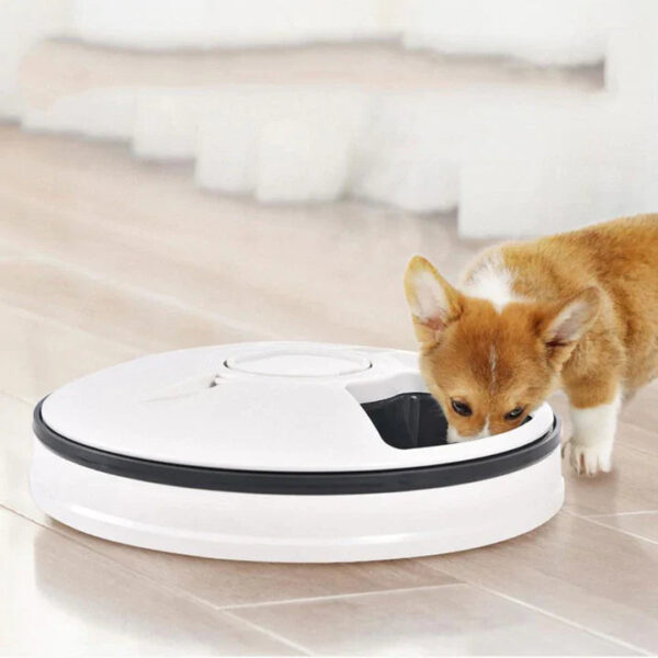 Automatic Pet Feeder - Image 2