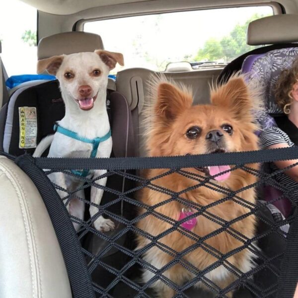 High Quality Premium Pet Car Net Petition - Image 3