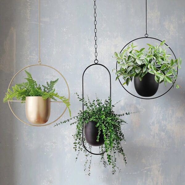 Modern Plant Hanger - Image 2