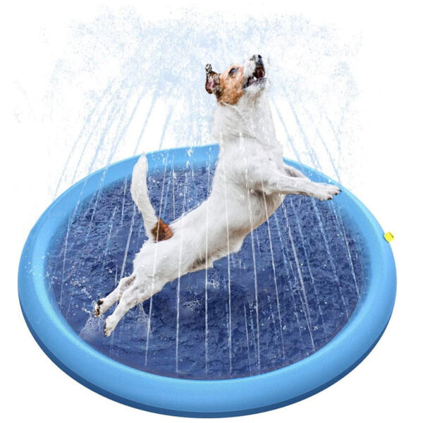 Pet Sprinkler Fun Pad