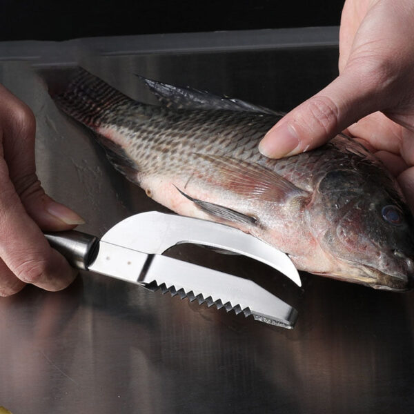 Stainless Steel Fish Belly Knife - Image 6