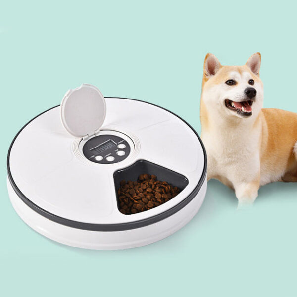 Automatic Pet Feeder - Image 5