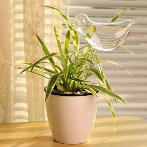 Self-Watering Plant Glass Bulbs (Set of 2) - Image 3
