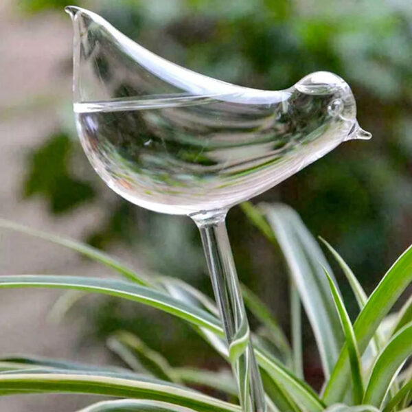 Self-Watering Plant Glass Bulbs (Set of 2) - Image 6