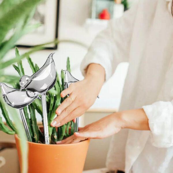 Self-Watering Plant Glass Bulbs (Set of 2) - Image 2