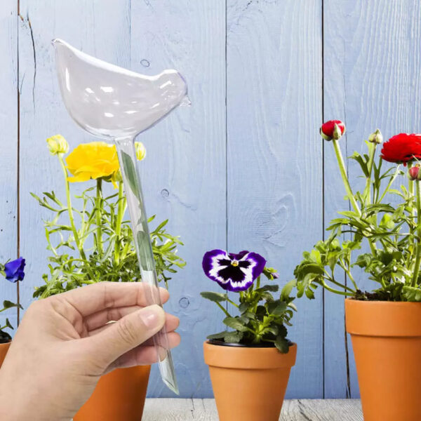 Self-Watering Plant Glass Bulbs (Set of 2) - Image 5