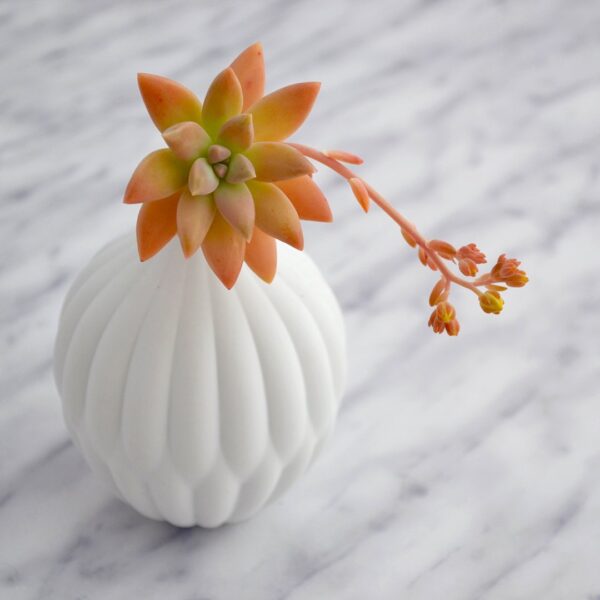 Petite Textured Porcelain Vase - Image 4